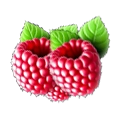 Juicy fresh raspberries with vibrant green leaves, perfect for a tangy and sweet mojito flavour.