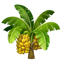 A vibrant illustration of a banana tree with a lush bunch of ripe yellow bananas hanging from its stem, surrounded by large green leaves.